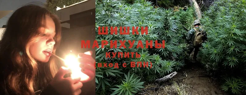 Канабис SATIVA & INDICA  OMG ТОР  Серпухов  купить наркотик 